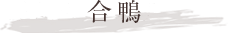 合鴨